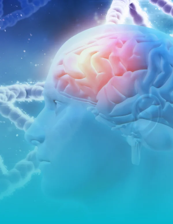 Neurosurgery and Brain Spine Treatment at Viswanathan Hospital
