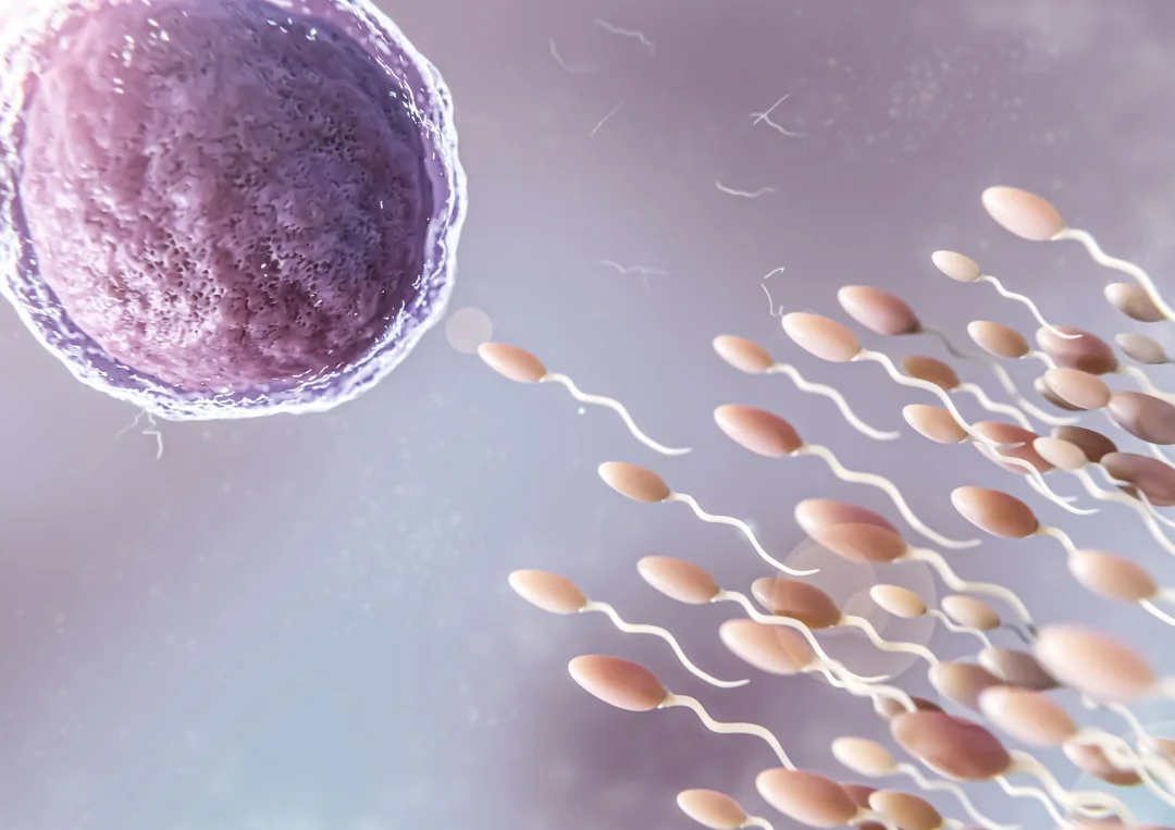Fertility Treatment and Reproductive Care Services in Trichy